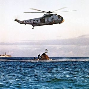 Meet your Posher, Bruce